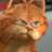 holykuo's profile image