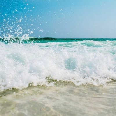 dreambom21's profile picture. 휴가를 기다리는, 생활 속의 힐링을 찾는