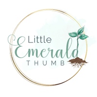 Erin (@lilemeraldthumb) 's Twitter Profile