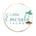 Erin (@lilemeraldthumb) Twitter profile photo Erin (@lilemeraldthumb) Twitter profile photo
