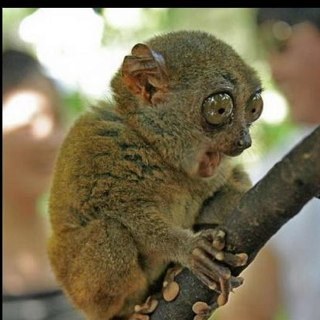 vaughano's profile picture. A bloody top bloke that loves the internet