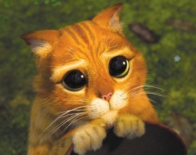 ivanovsasha's profile picture. 