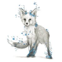 🦊FoxOfTheDay🦊 (@foxoftheday2) 's Twitter Profile