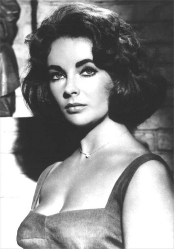liztaylorfan's profile picture. Elizabeth Taylor fan. I also love all beautiful brunettes