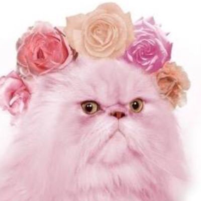 Kat43142949's profile picture. 