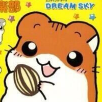 bemmpo (@bemmpo) 's Twitter Profile Photo bemmpo (@bemmpo) 's Twitter Profile Photo