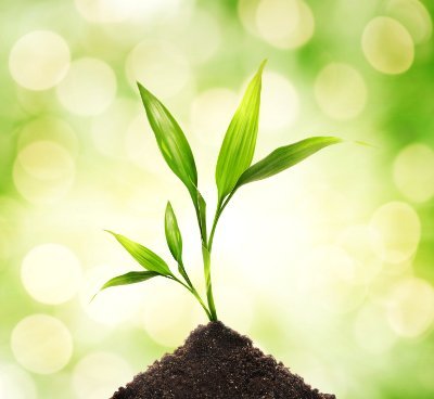 RAUTSNEHAL1's profile picture. myy hard work ll payoff .🏃🏻‍♀️ struggling 4 replacement of "Good".