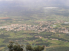 zebernardes's profile picture. 