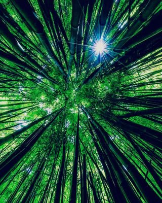 JohnKaure's profile picture. Financial Freedom Oriented. Health& Fitness Disciplined. Inbox for Sales & Marketing.