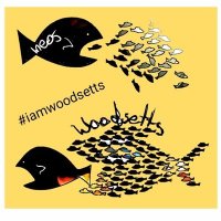 Woodsetts against fracking(@woodsettsaf) 's Twitter Profile Photo