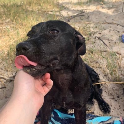 RobertN64597196's profile picture. 20 | Australia | GM ❤️