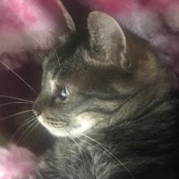 🌻xt♡e(ERI)🌹 (@purpleline777) 's Twitter Profile Photo