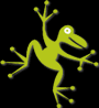 PilaSki