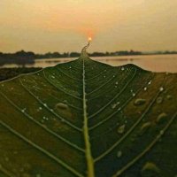 Jitesh Variya®™🇮🇳 (@jiteshvariya) 's Twitter Profile