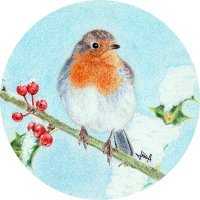 OrnitoBio – Júlia Alcaraz (@ornitobio) 's Twitter Profile