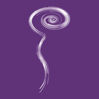 Spinal CSF Leak Foundation (@spinalcsfleak) 's Twitter Profile