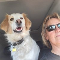 Marja Boermeester (@safesurg) 's Twitter Profile Photo Marja Boermeester (@safesurg) 's Twitter Profile Photo
