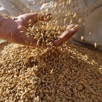 Valley Malt (@valley_malt) 's Twitter Profile