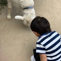 まあ★懸賞アカ (@maaaimyon_ck) 's Twitter Profile