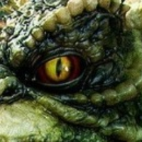 Braxisgremlin (@braxisgremlin) 's Twitter Profile