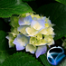 bravyp's profile picture. http://t.co/ZNCQspGtLS,C#Developer