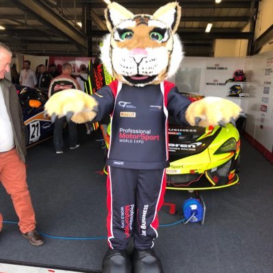 LisaMcQuarrie1's profile picture. Say it as it is