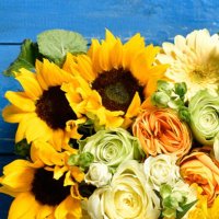 鯖@取引垢🐱（固定必読） (@sabatora_aka) 's Twitter Profile