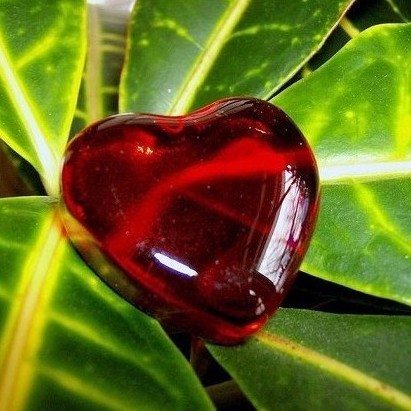 LiCaRoSu86's profile picture. 