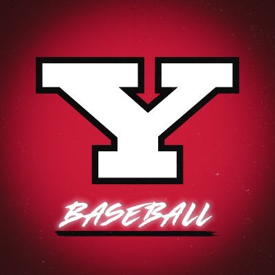 YSU Baseball 🐧