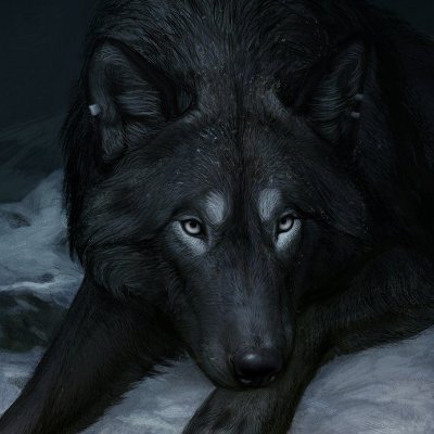 The Alpha of internet awkwardness 🐺🐺🐺
Owl City (Adam Young) and Wolves at the Gate are my life.
Even that combination is awkward.