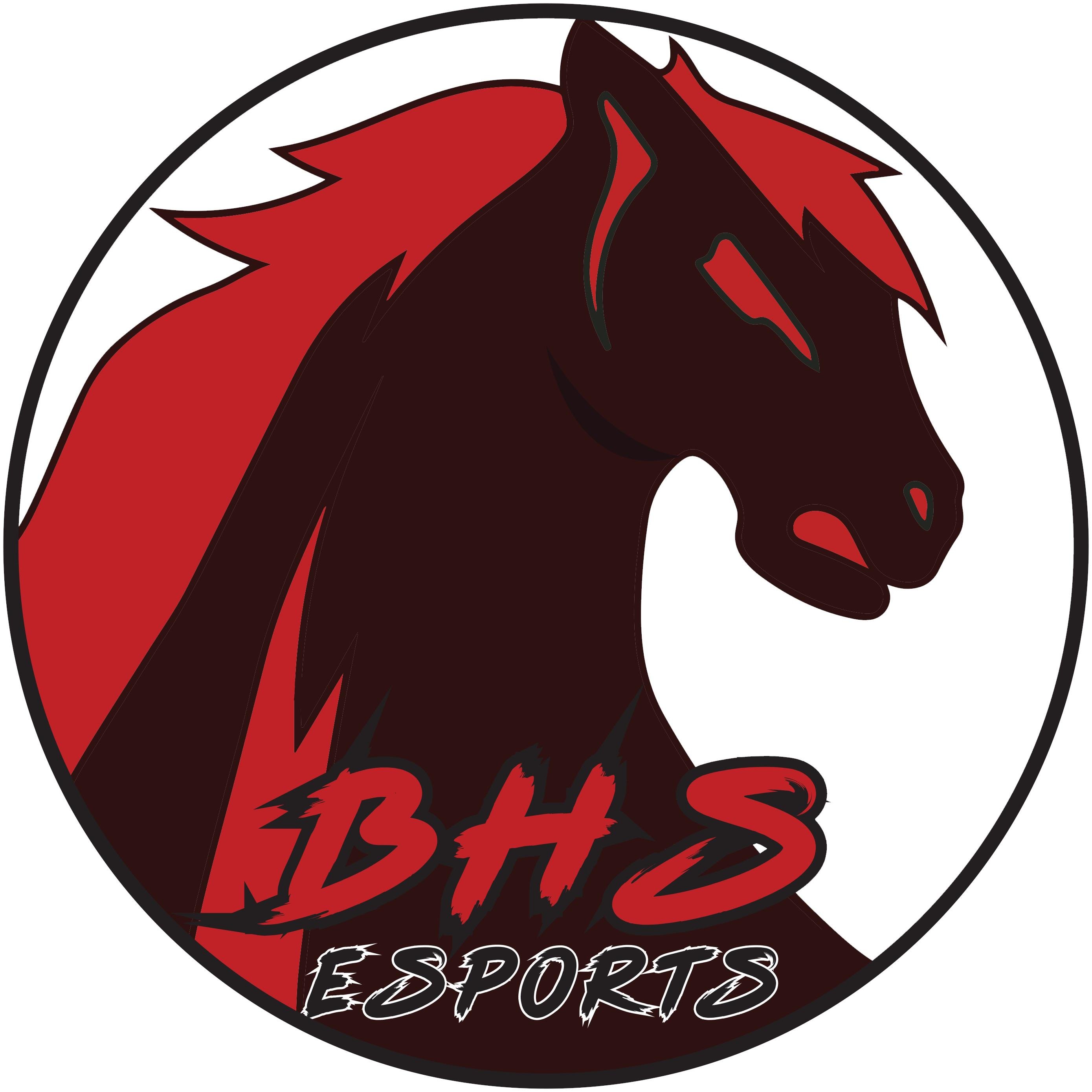 The official twitter account of the Barrington High School Esports teams. 
Currently supporting League of Legends, Overwatch, Valorant, SSBU, and Rocket League.