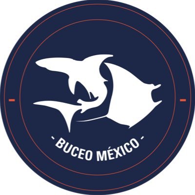 BuceoMX Profile Picture