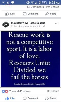 ARHorseWarrior's profile picture. Equine Slaughter Must Be Ended!