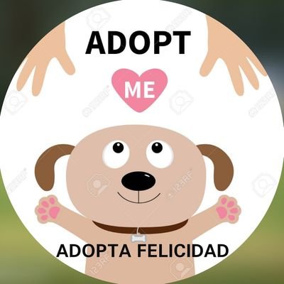 Cualquier cachorro puede darte amor, ¡ADOPTA!