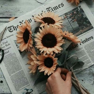 strange72581189's profile picture. 