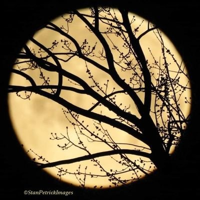 StanPetrick's profile picture. Physical therapist. Photographer. Aquaphile. Beach lover. Outdoorsman.  Photos are mine unless otherwise specified