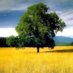 Armen Ayvazyan (@armencz) Twitter profile photo Armen Ayvazyan (@armencz) Twitter profile photo