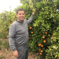 Guillermo | CitrusRicus | Apfelsinen, Mandarinen.. (@citrusricusde) 's Twitter Profile