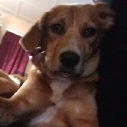 sarahlynnclark's profile picture. https://t.co/Q36Axn5rpv
 Tune in on YouTube for my channel @CafeCoffeeQueen
Like and Subscribe to my new Channel 👸☕❤