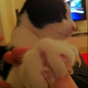 Travis Bean - @Travis__Bean - Twitter