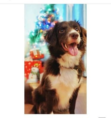 KevinsDavid5's profile picture. I'm a single father💪 with one Son👩‍👩‍👦, I love what always make me feels Happy Lol 😜😜 I really want to have fun with all of  my Friends..😎😎😎