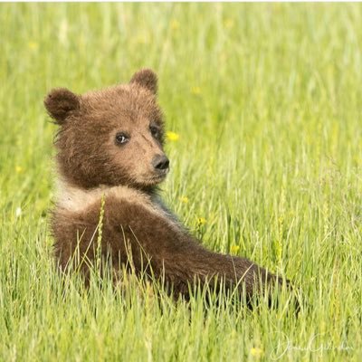 slindr21's profile picture. 