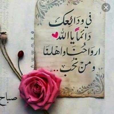 njo_A2020's profile picture. 🌺