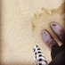 Amina Al-Sadi (@amialsa) Twitter profile photo Amina Al-Sadi (@amialsa) Twitter profile photo
