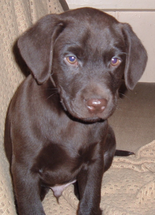 Robrin's profile picture. 