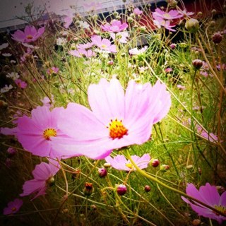 erico_kuma's profile picture. 4年弱のドイツ滞在後2018年3月完全帰国 2018年9月息子誕生 シングルマザー/国際結婚/国際離婚/オーストラリアワーホリ/NZワーホリ/フィリピン留学/インドyogattc200h取得/英語/独語/ #2018sep_baby