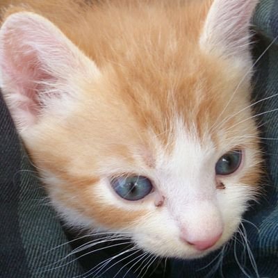 bambiworks714's profile picture. 