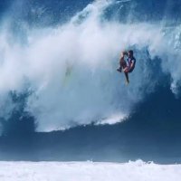 ワイプアウト (@kabu_surfdog) Twitter profile photo