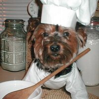 BARKING GOURMET(@BARKINGGOURMET) 's Twitter Profile Photo