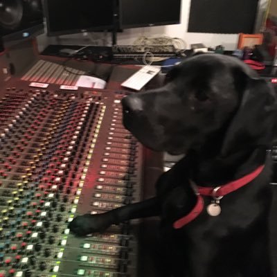 Producer/Mixer based in Leeds UK. Big Low Guitar and Vocals for @wearefurr. Dad, Dog Dad.